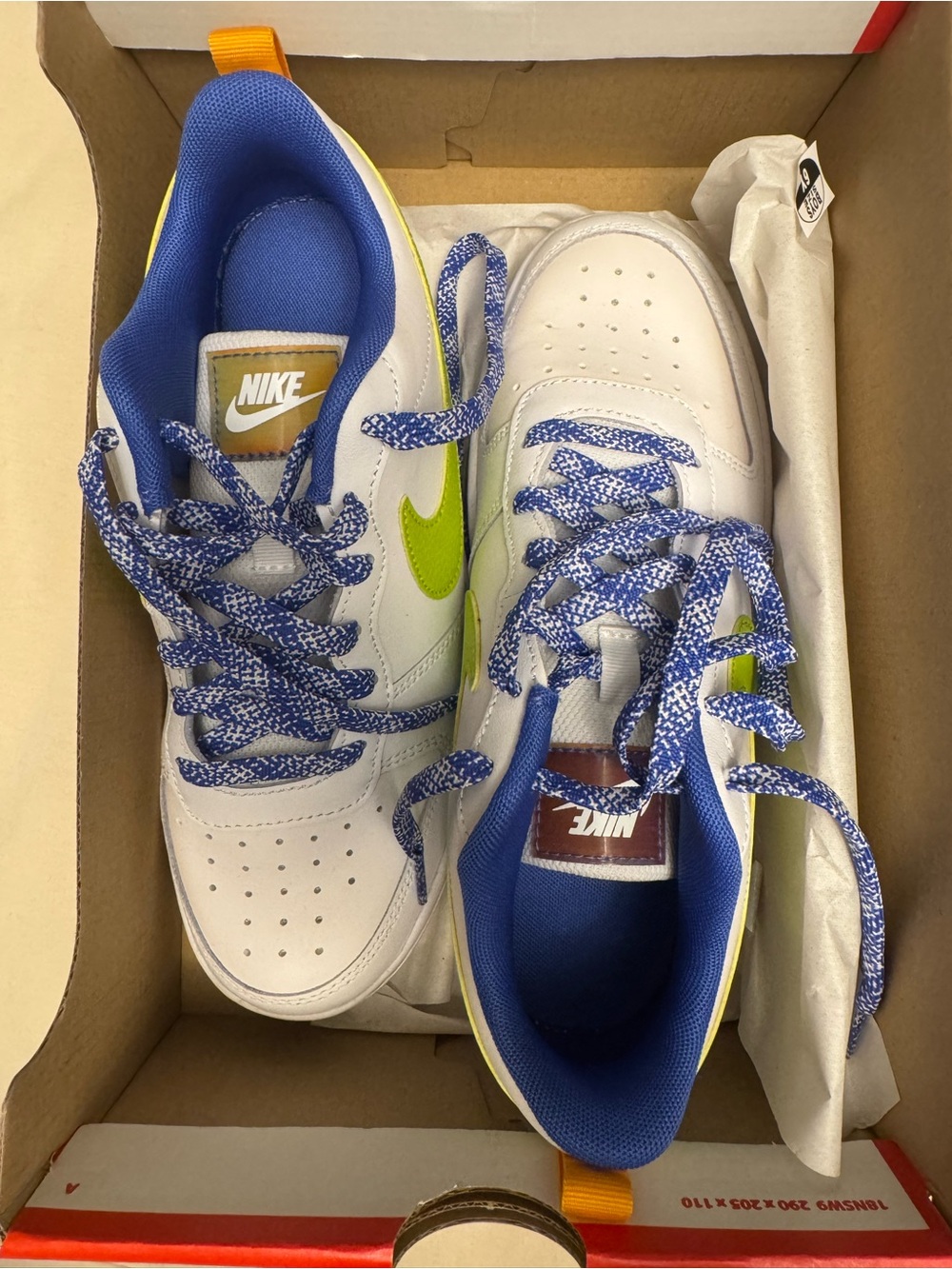 Nike Court Borough Low 2 SE (GS)